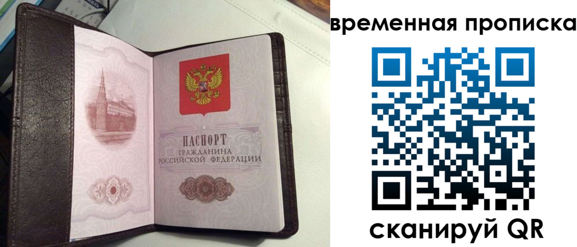 прописка 2025 в Братске